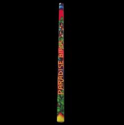 FEUX D'ARTIFICE - PARADISE BIRD CANDLE BÂTON
